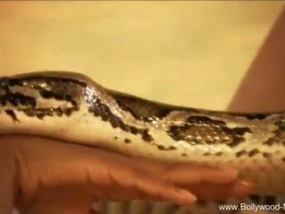 Bollywood at ang enchanting snake