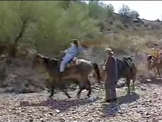 テラ heart-dp-western nights (1994)-scene 6